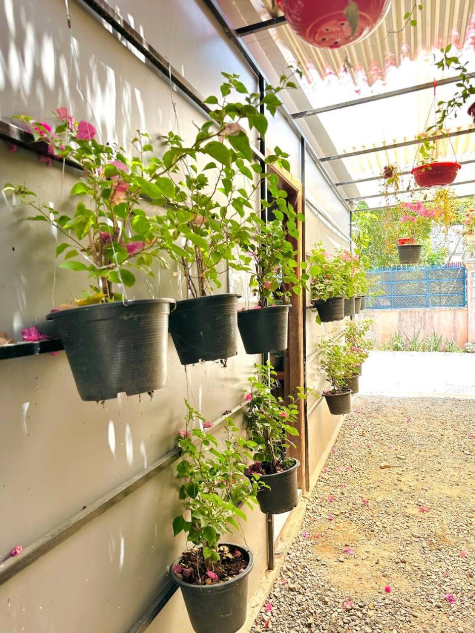 Angkor Piseth Homestay Siem Reap Luaran gambar