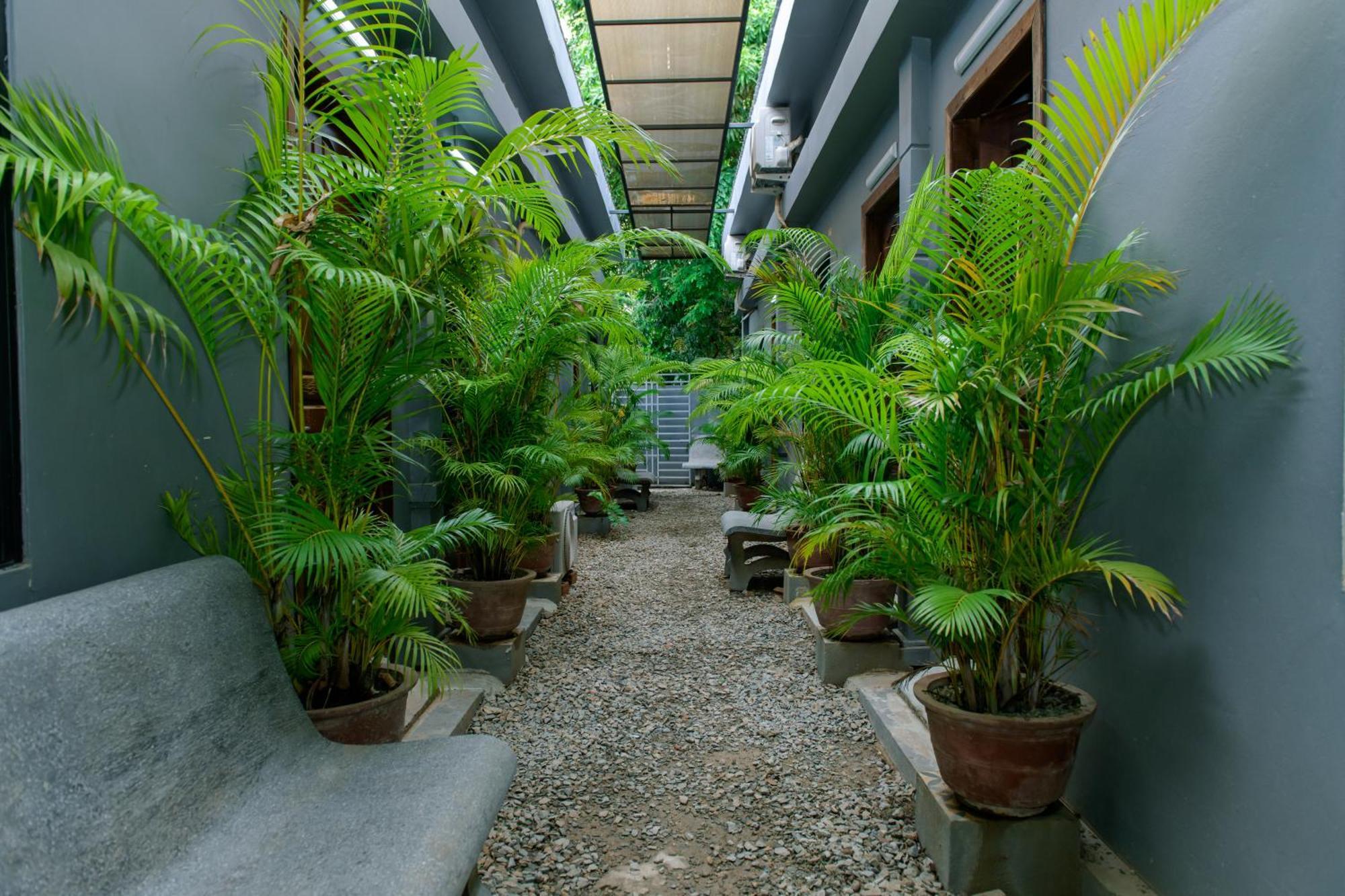 Angkor Piseth Homestay Siem Reap Luaran gambar
